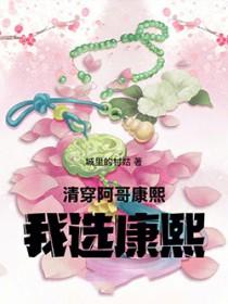 清穿阿哥康熙我选康熙txt
