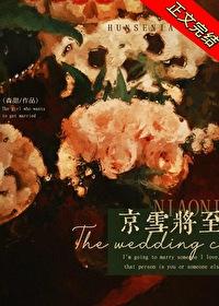 京雪将至讲什么