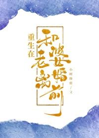 重生到离婚前一天的