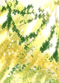 阴暗普女但第三者by笔趣阁