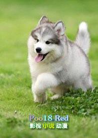 年下小奶狗原文阅读