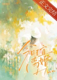 今日不宜离婚短剧在线观看