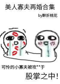 美人寡夫再婚合集免费阅读全文