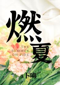 夏燃全文免费阅读