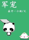 军宠(军旅高干)NP