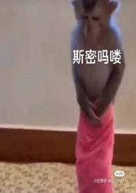 动画泡芙小姐最后和谁在一起