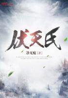 伏天氏四方村先生是谁