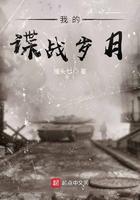 我的谍战岁月 
